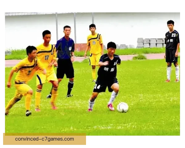 北京足球联赛参赛队伍全解析及赛季精彩对决盘点